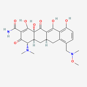 Sarecycline