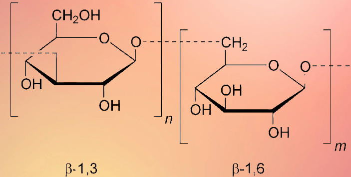 Ascophyllum nodosum (Seaweed Extract)