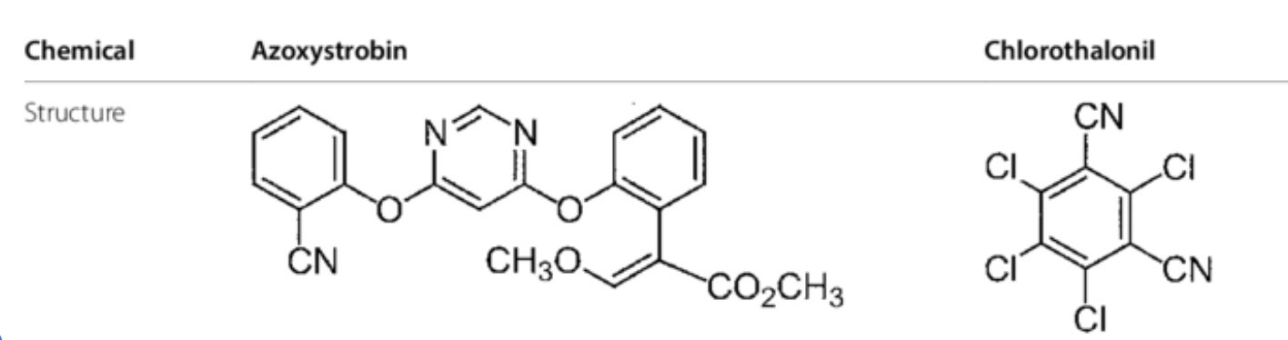 Azoxystrobin 4.8% + Chlorothalonil 40.0% SC