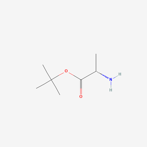 L-Alanine 1,1-dimethylethyl ester
