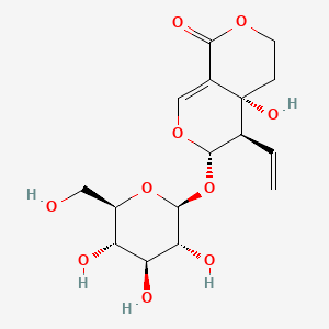 Ginger Root Extract